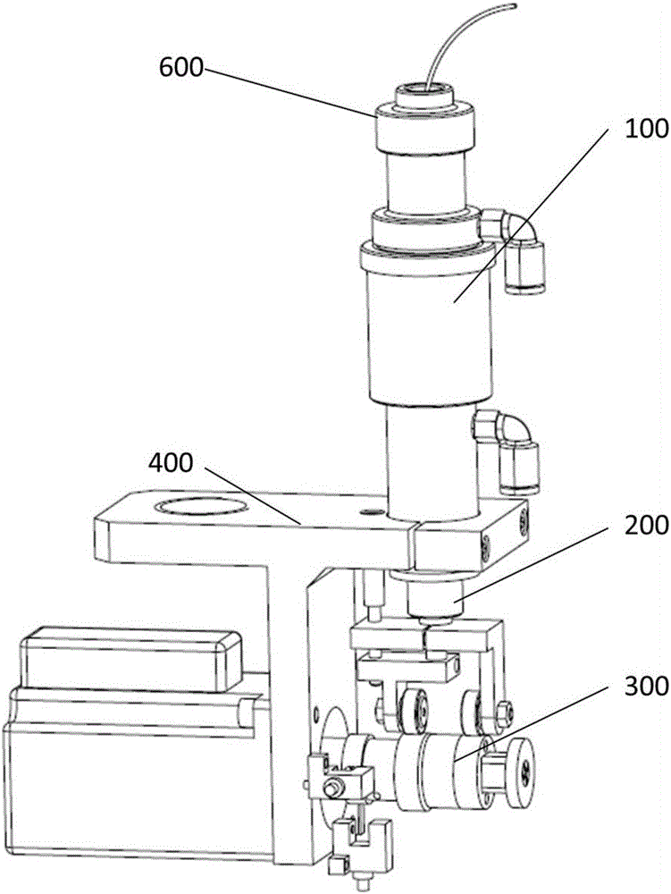 Flexible chip oriented multi-thimble peeling apparatus and peeling method