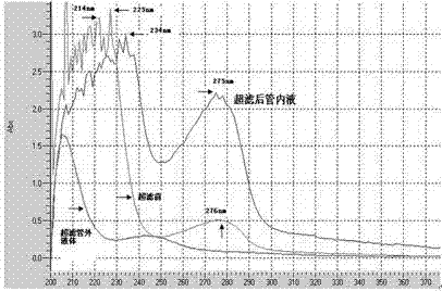 Novel method for preparing gonyatoxin GTX2 and GTX3 artificial antigens