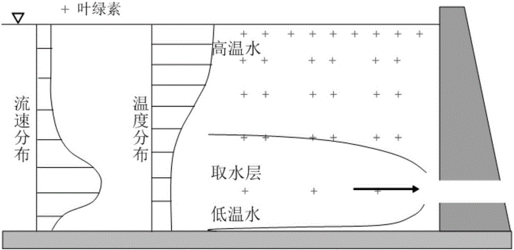 Ecological reservoir regulation method and determination method for water taking level in front of reservoir dam