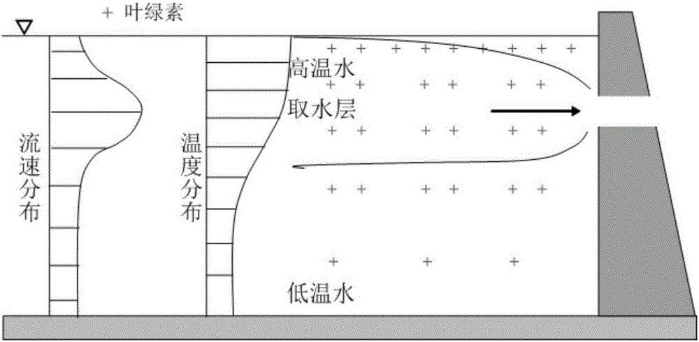 Ecological reservoir regulation method and determination method for water taking level in front of reservoir dam