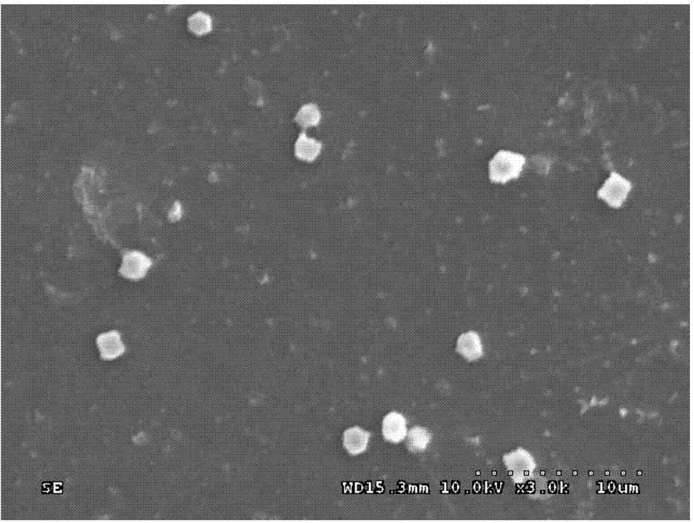 Controllable-shape long-carbon-chain polyamide powder base and controllable-shape high-conductivity composite powder material