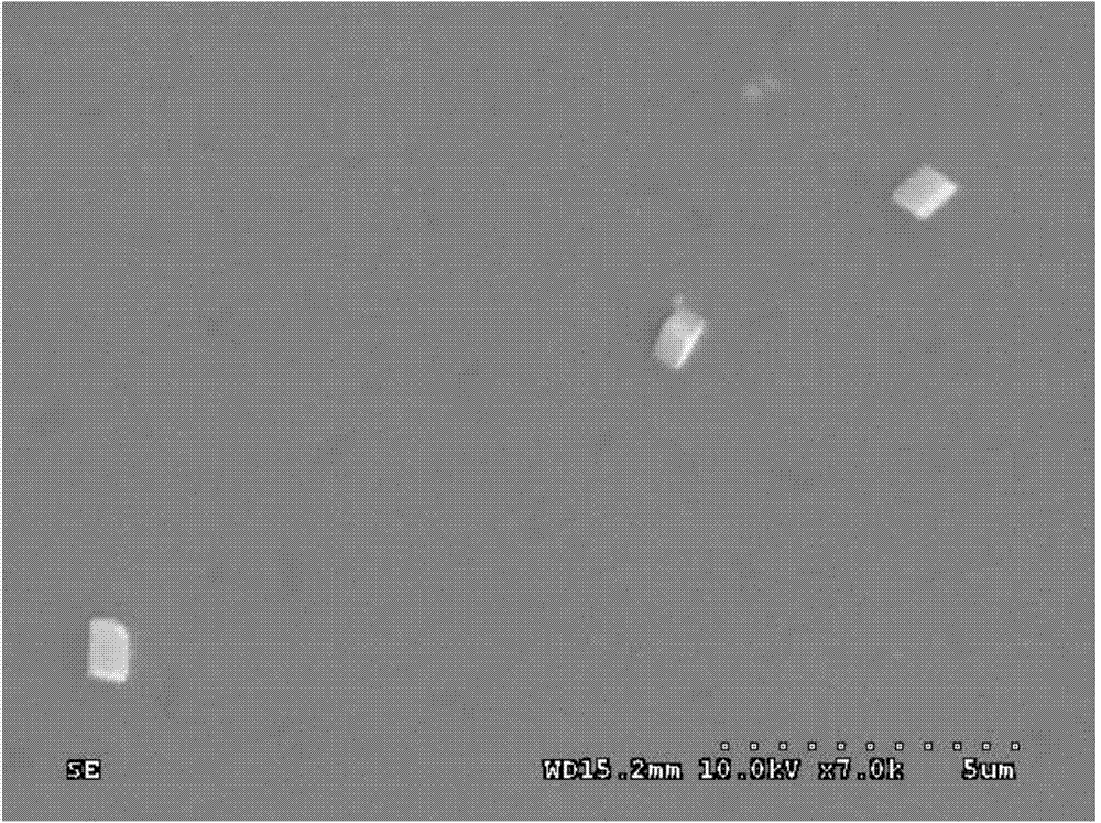 Controllable-shape long-carbon-chain polyamide powder base and controllable-shape high-conductivity composite powder material