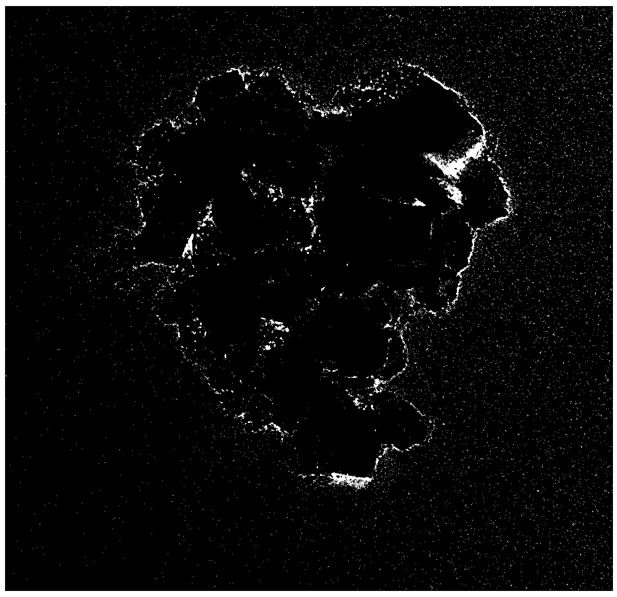 Preparation method of crystal porous composite titanium dioxide for purifying air