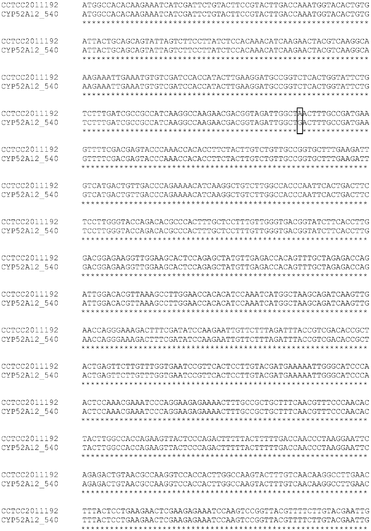 Directed evolution of CYP52A12 gene and application of gene in production of binaryacid