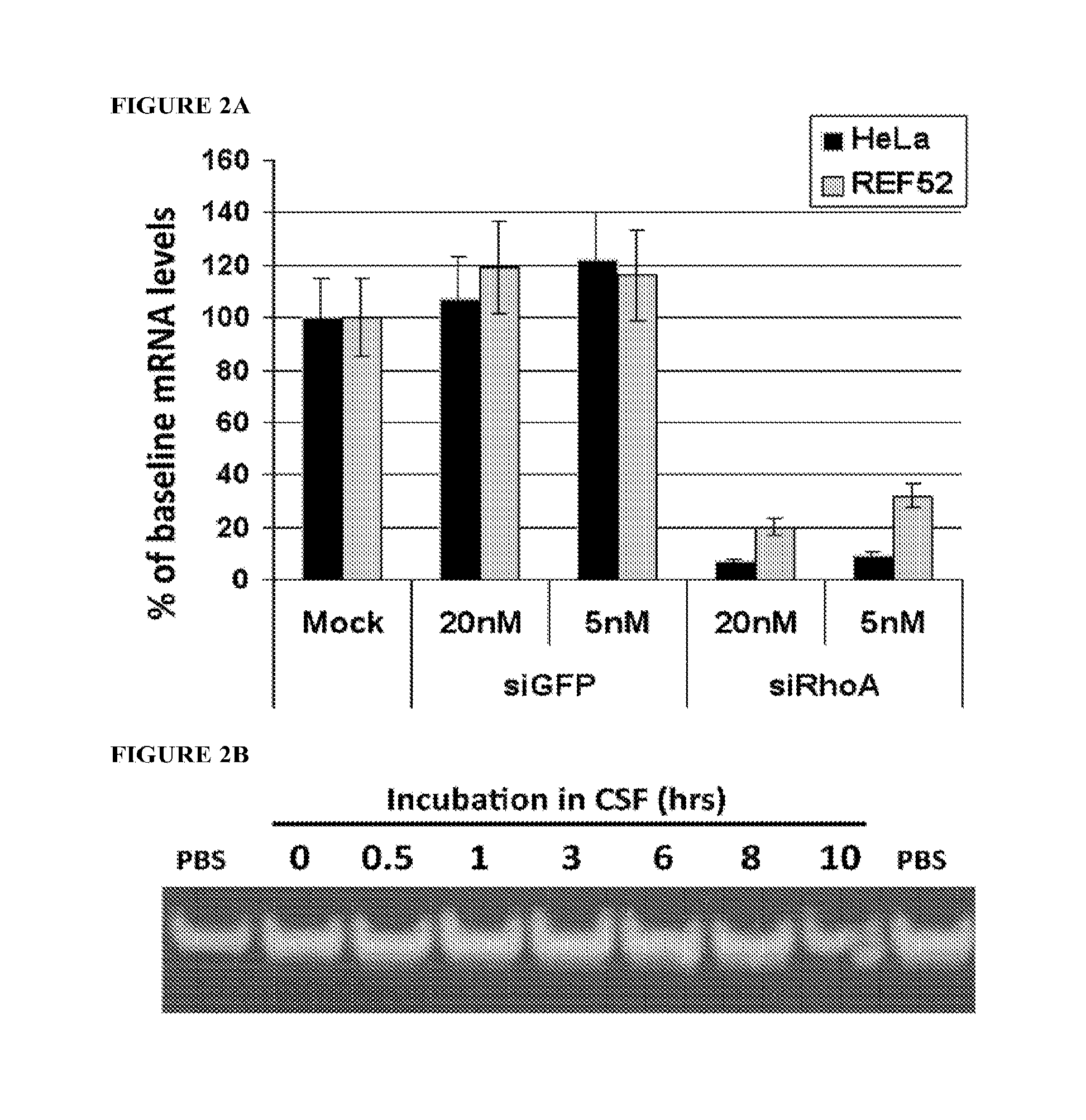 Methods for delivery of sirna to the spinal cord and therapies arising therefrom