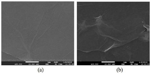 Method for preparing and regenerating iron complex type carbon film gas diffusion electrode applied to electric Fenton system