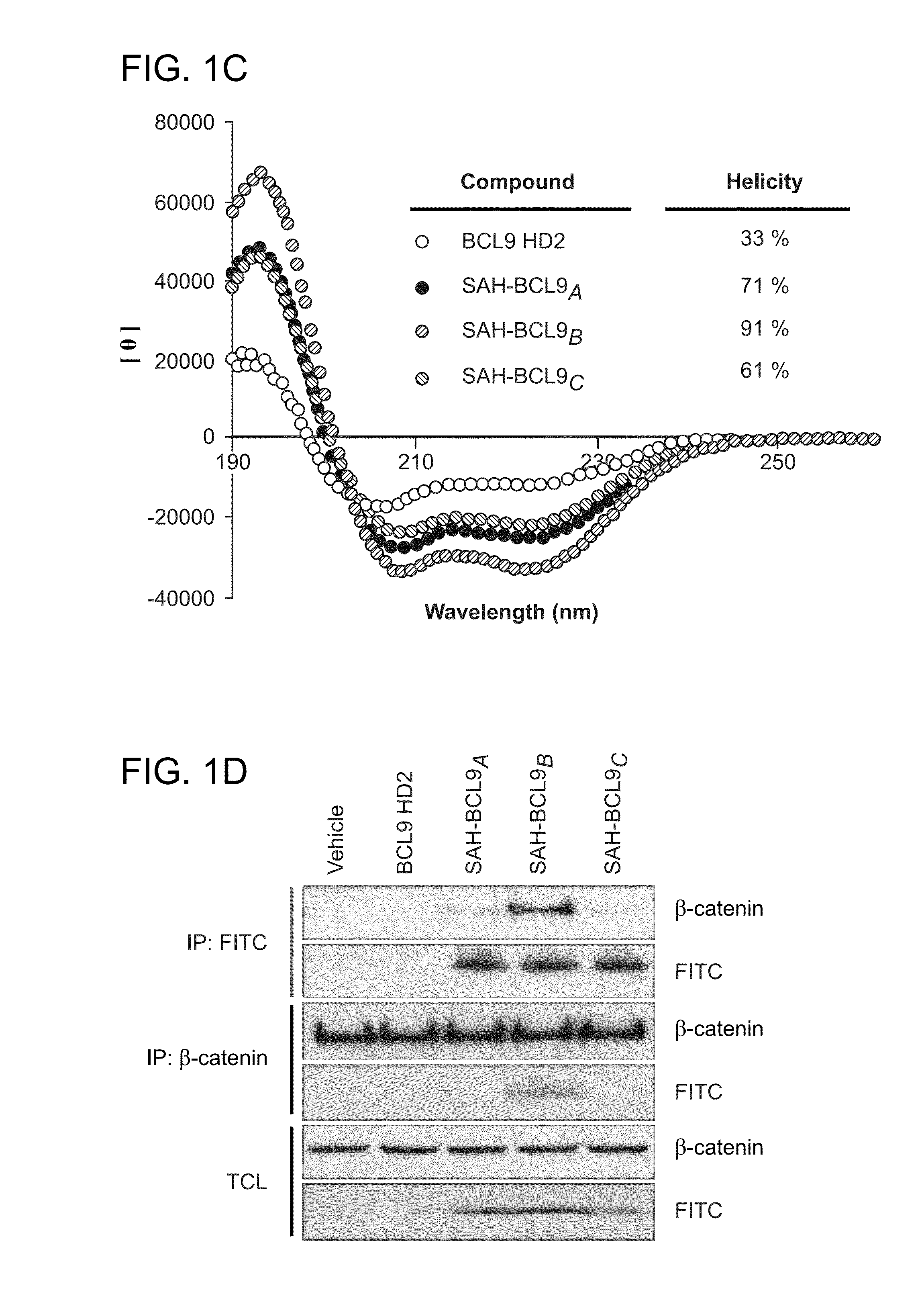 Targeting deregulated wnt signaling in cancer using stabilized alpha-helices of bcl-9