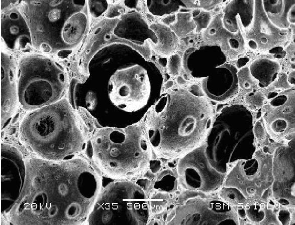 Succinyl-chitosan/polyvinyl alcohol composite sponge and preparation method thereof