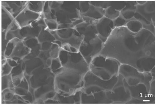 Preparation method of biochar/polymer composite film applied to solar water evaporation