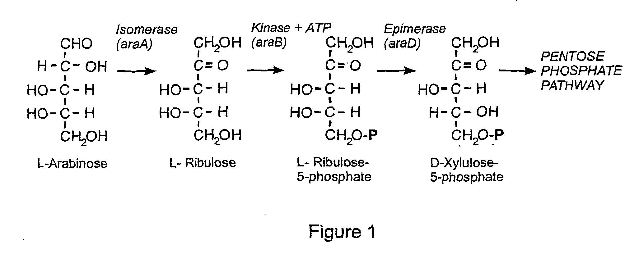 Selection system containing non-antibiotic resistance selection marker