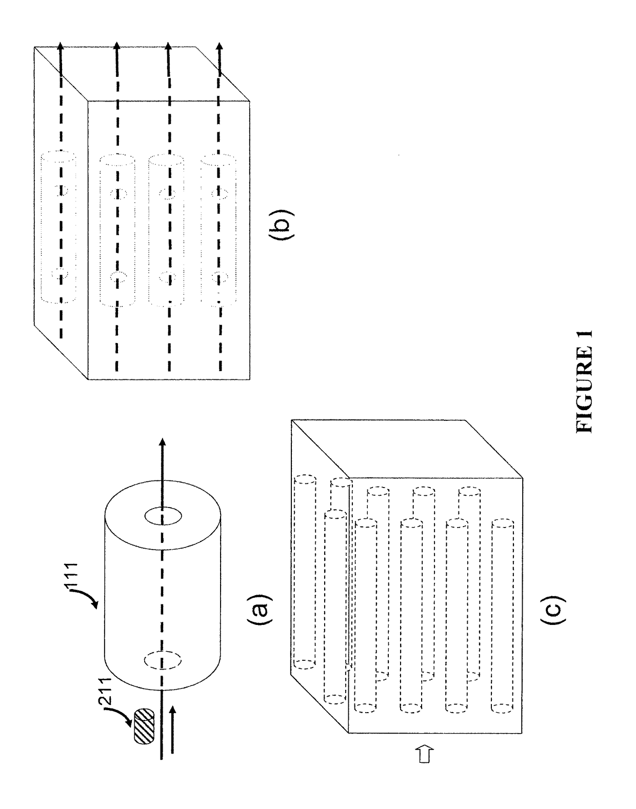 Apparatus for disease detection