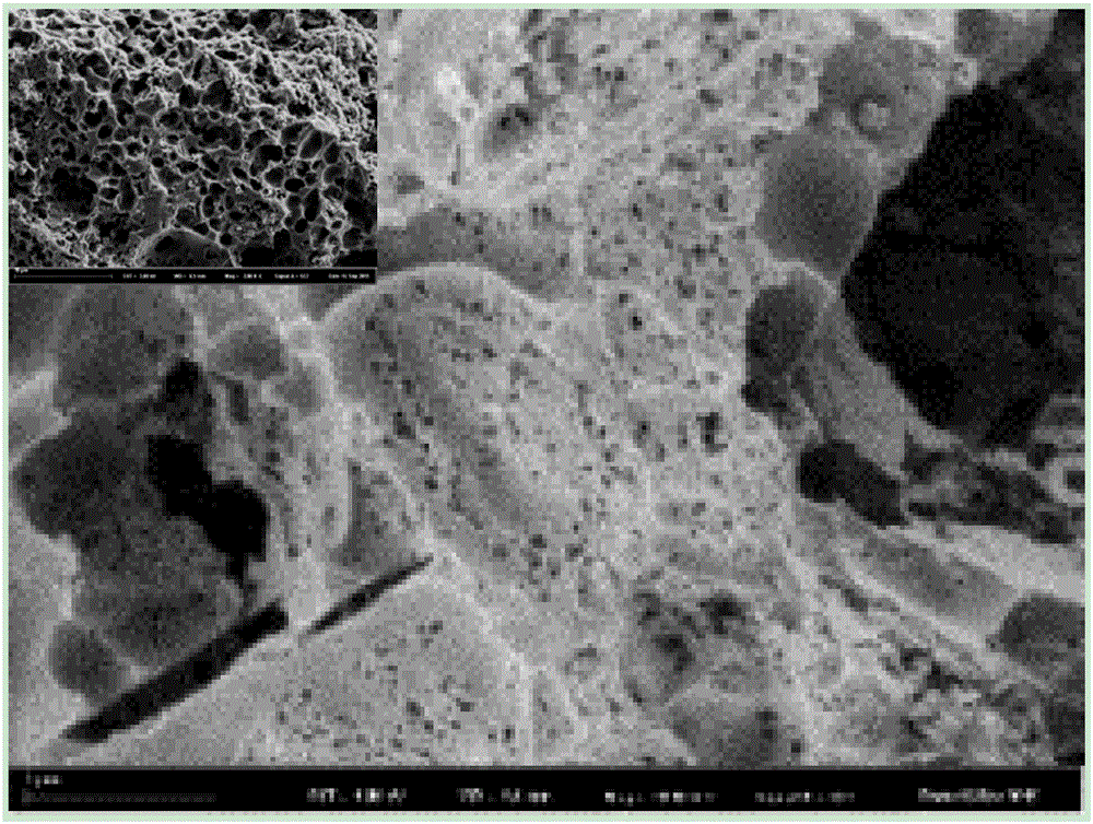 Method for preparing Li-S battery anode materials by taking algae as carbon source