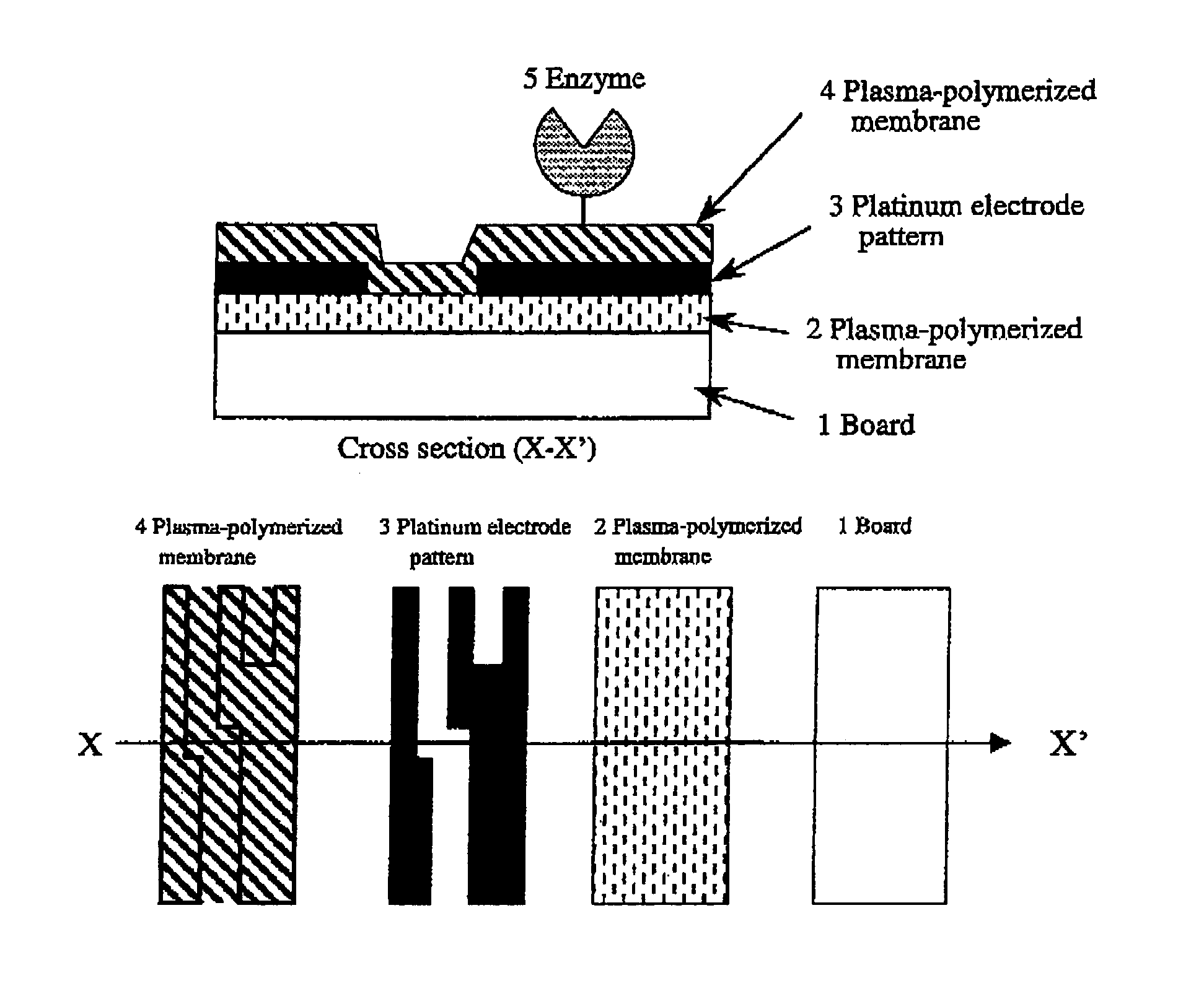 Biosensor