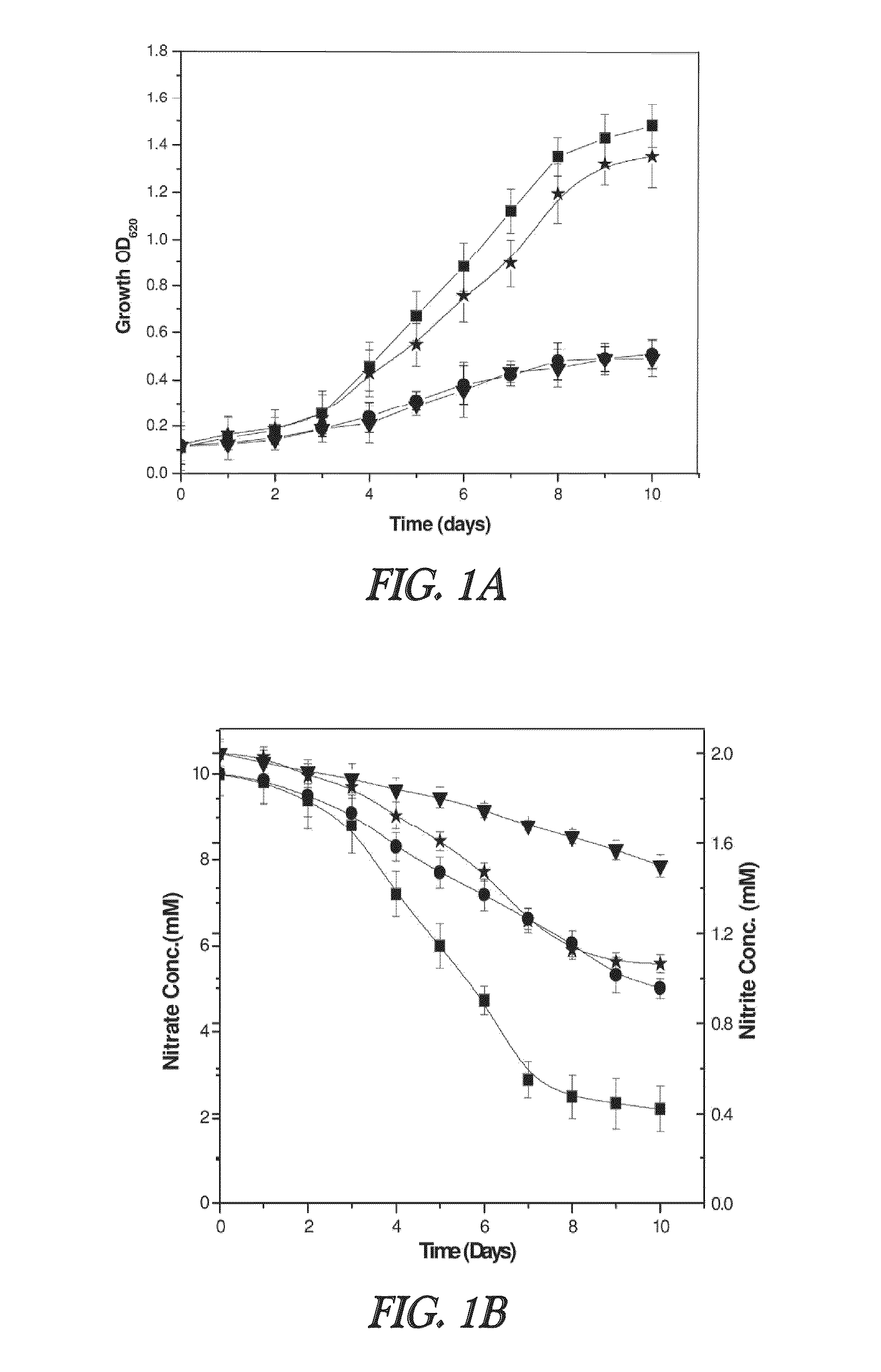 Nitrite-reductase (NIRB) as potential anti-tubercular target and a method to detect the severity of tuberculosis disease