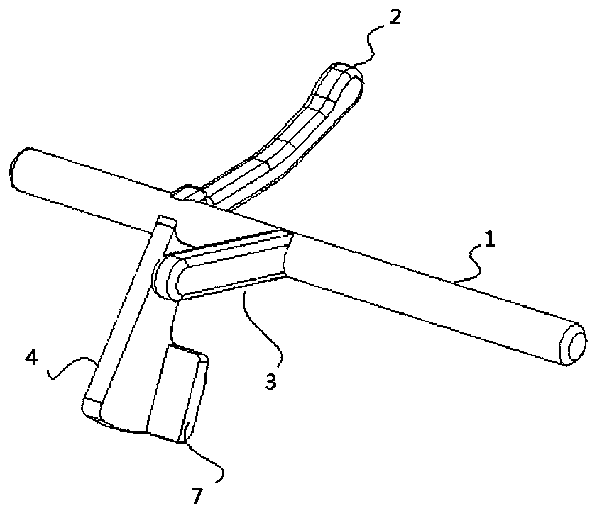 Detection structure and image molding device