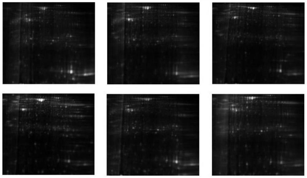 Marker for predicting response of cancer patient to chemotherapy and application thereof