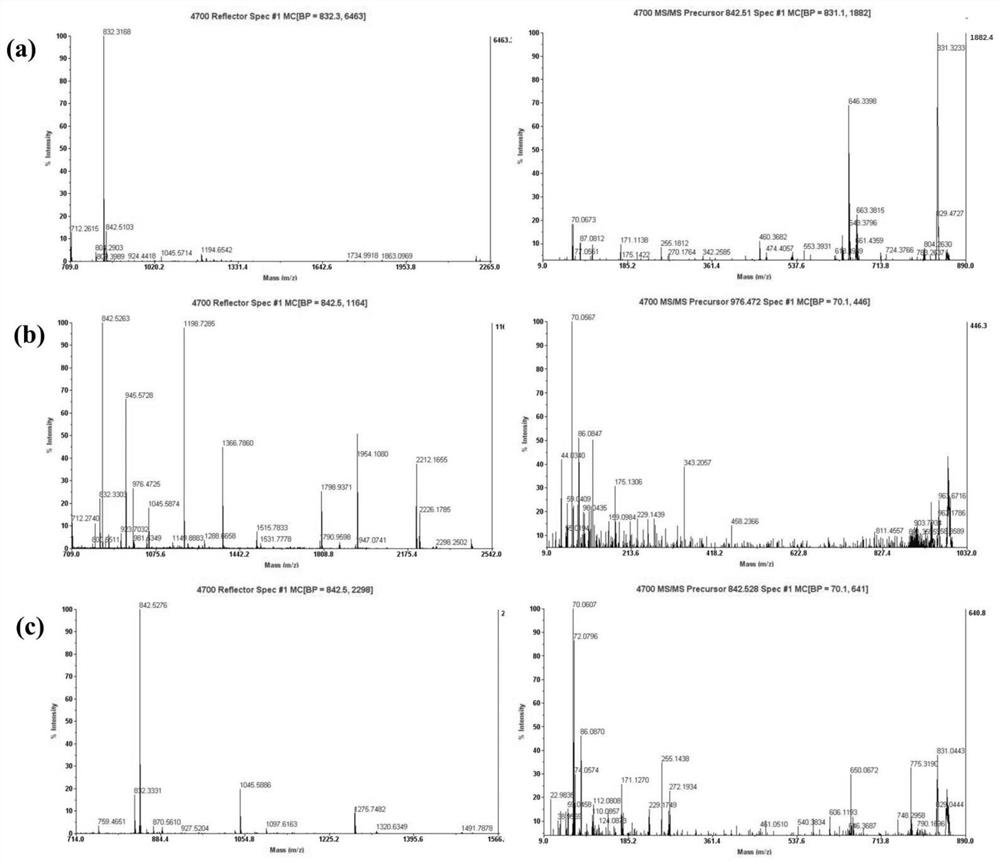 Marker for predicting response of cancer patient to chemotherapy and application thereof