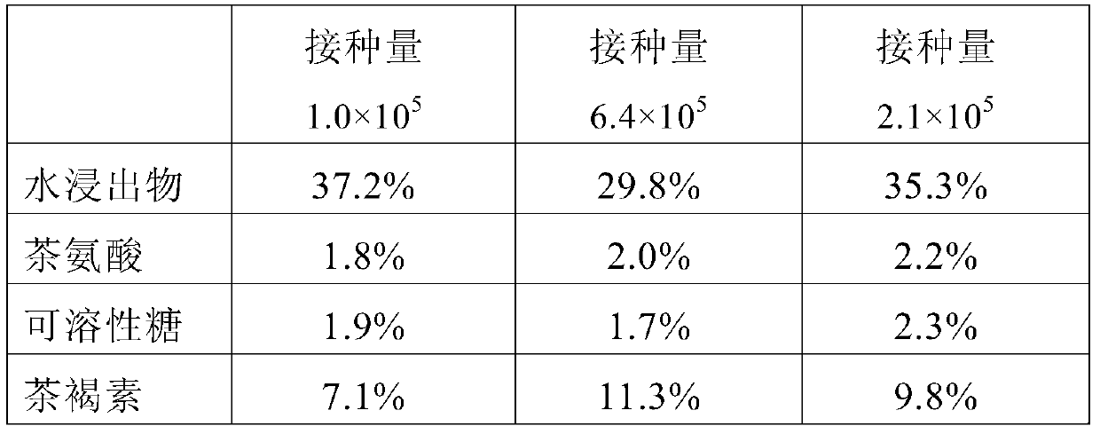 A kind of Trametes trichotillotype strain and its application, and the method for processing Pu'er tea