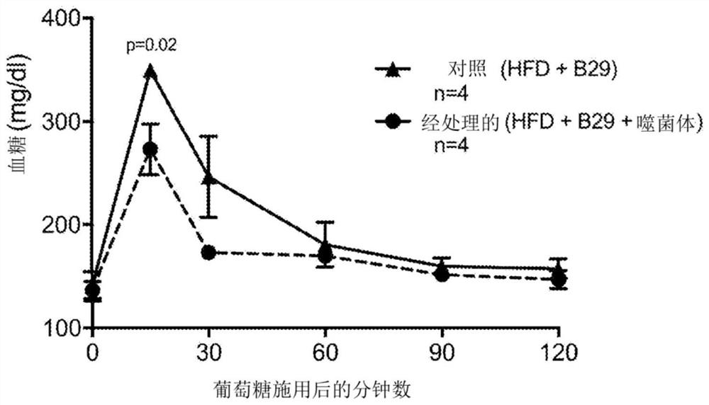 Bacteriophage compositions and kits and related methods