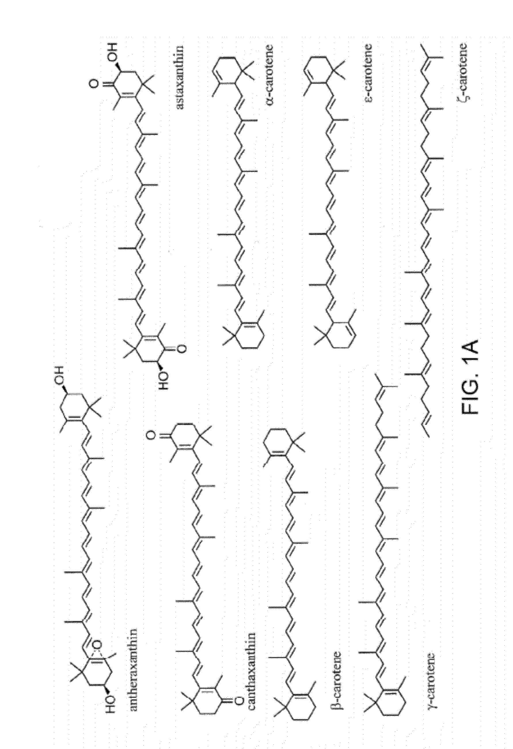 Production of carotenoids in oleaginous yeast and fungi