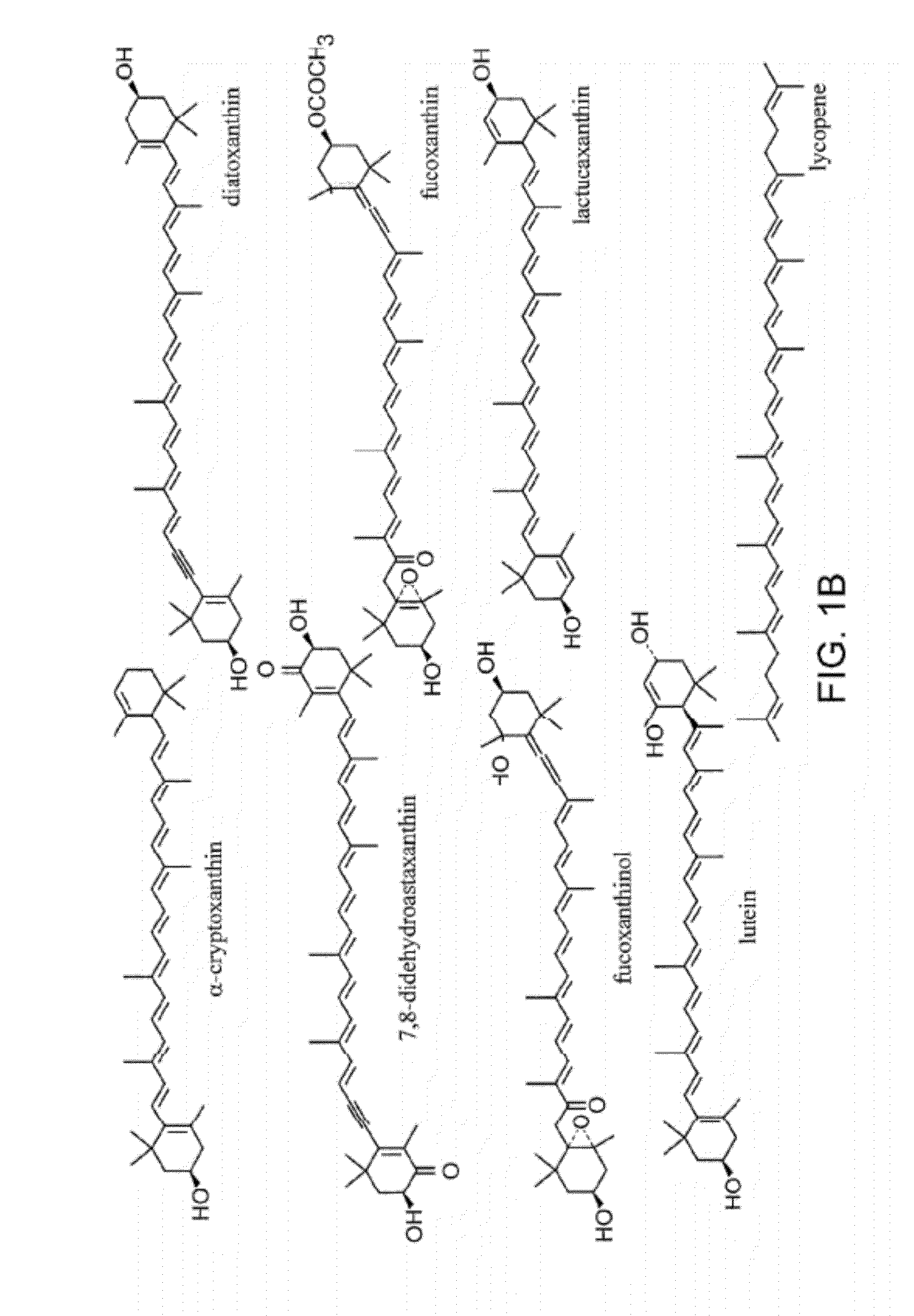 Production of carotenoids in oleaginous yeast and fungi