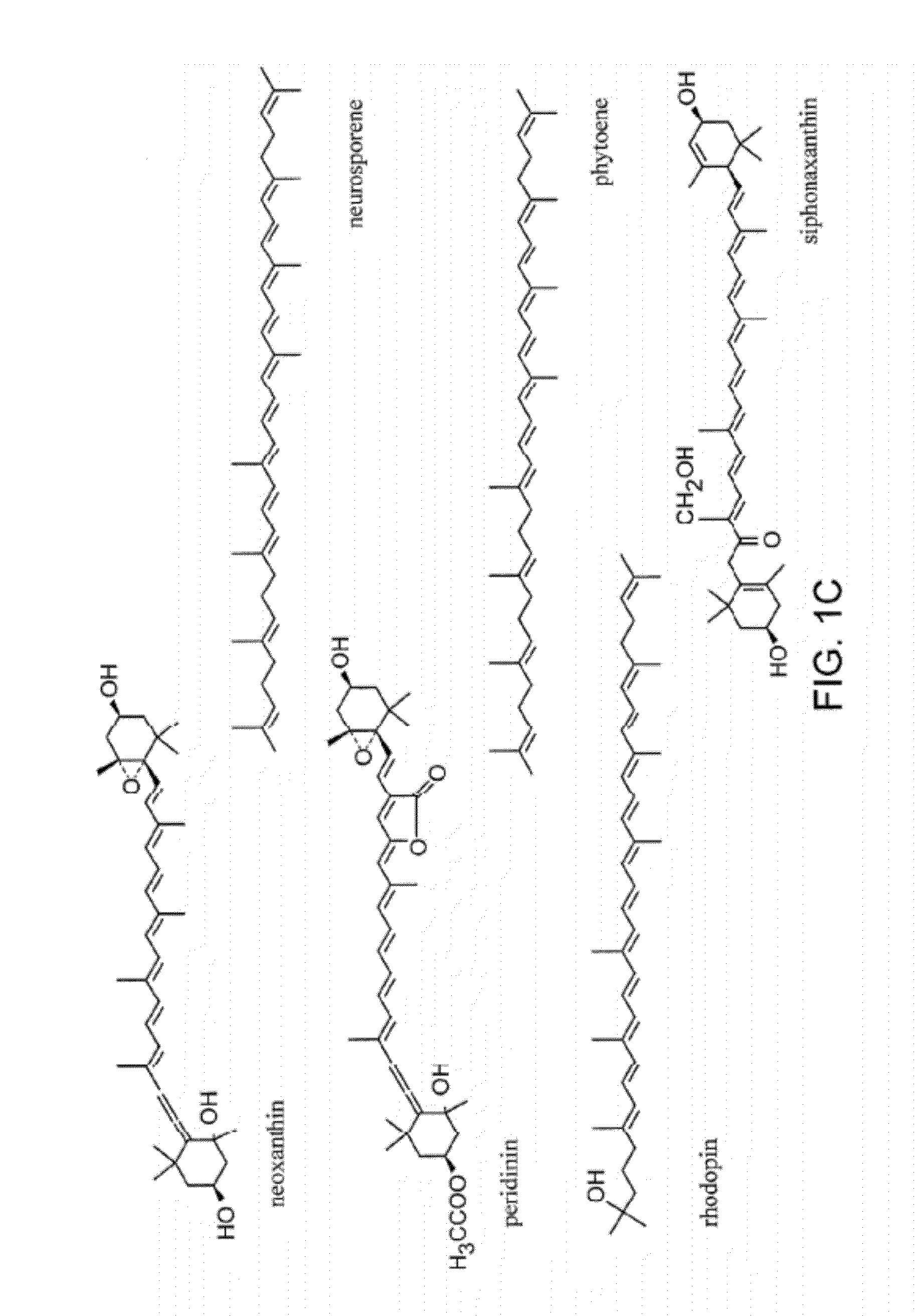 Production of carotenoids in oleaginous yeast and fungi