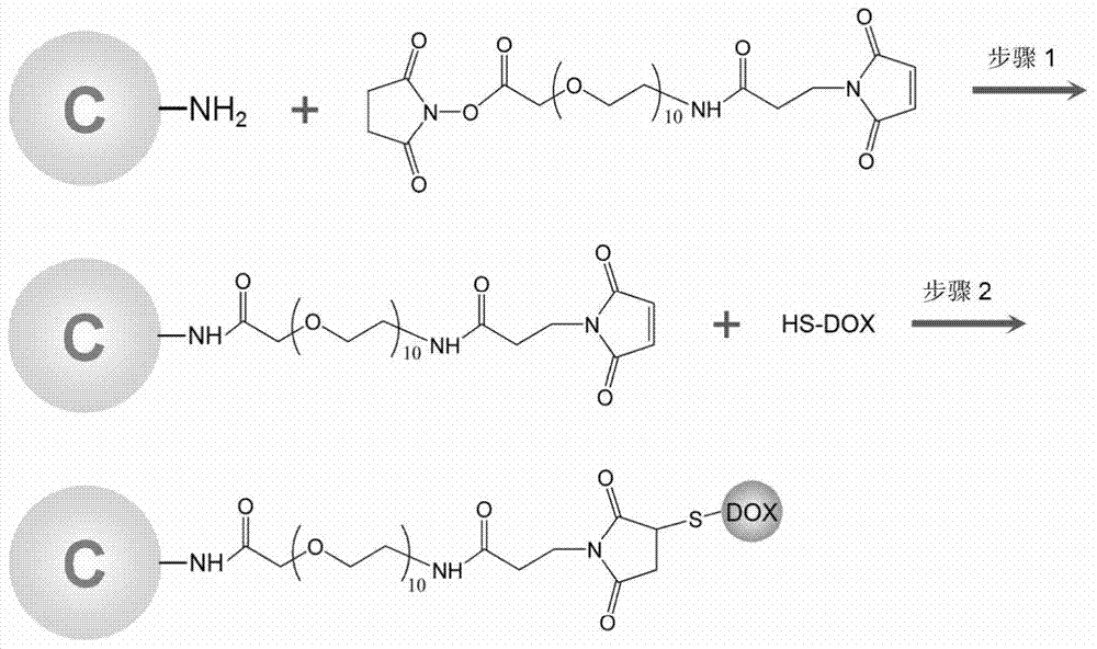 Application of carbon dots as antitumor drug carriers