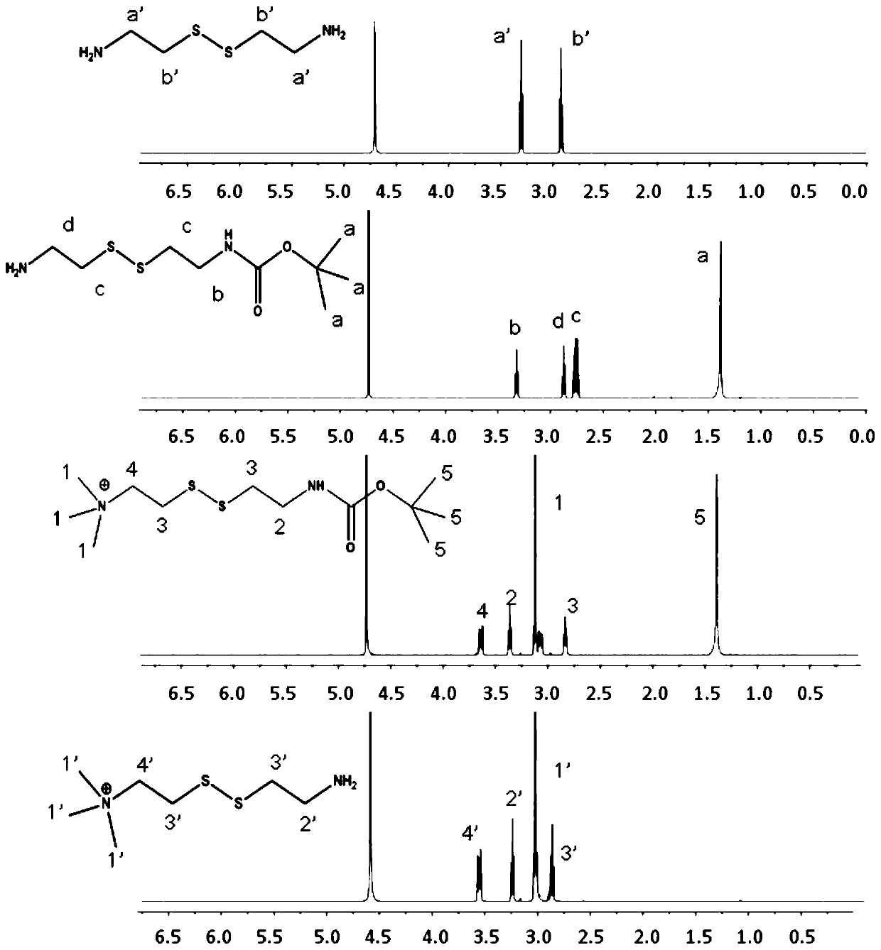 Nano-carriers and nano-preparations of anti-tumor drugs that can co-load anti-tumor drugs and nucleic acid drugs