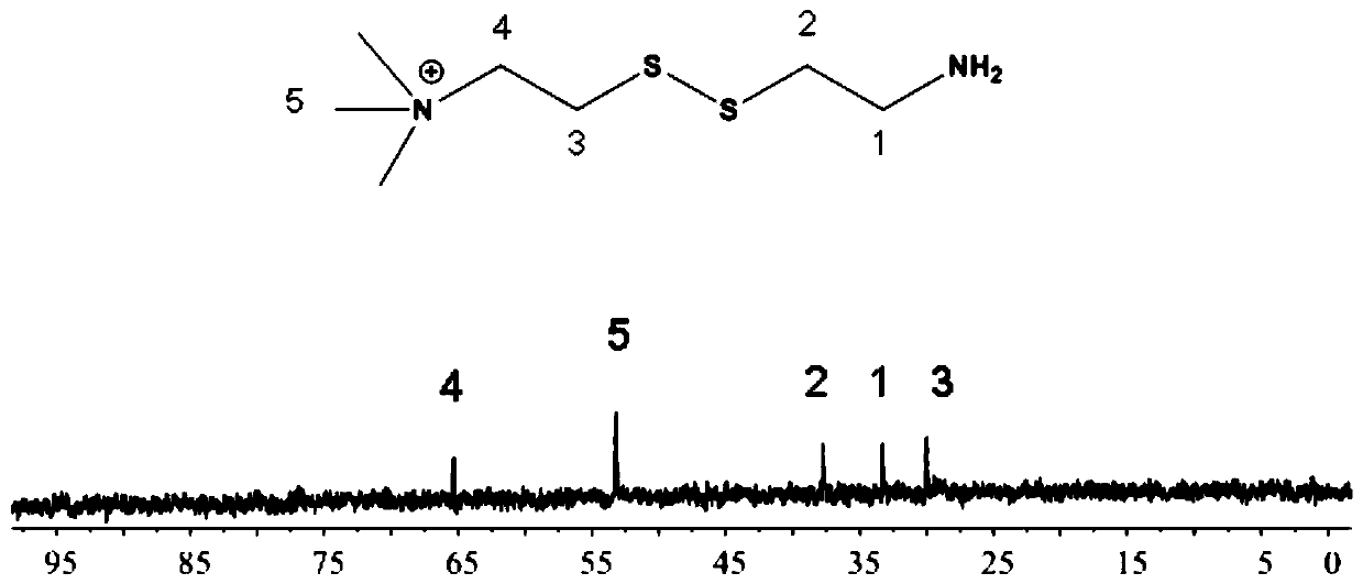 Nano-carriers and nano-preparations of anti-tumor drugs that can co-load anti-tumor drugs and nucleic acid drugs