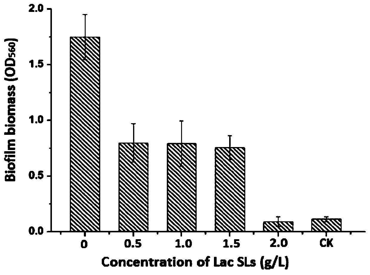 Application of sophorolipid in preparation of medicine for preventing against propionibacterium acnes and biofilm thereof