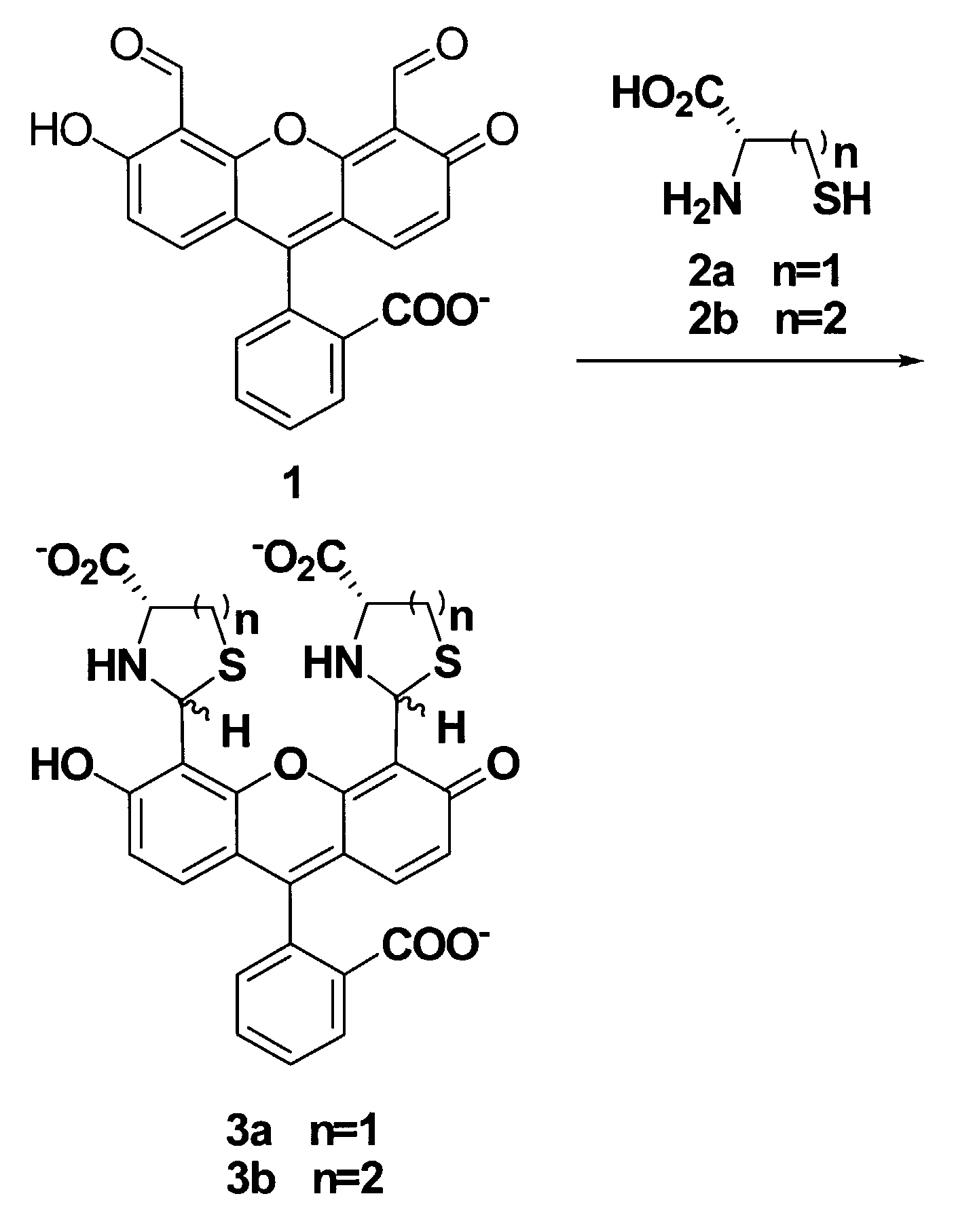 Colorimetric and fluorometric determination of homocysteine and cysteine