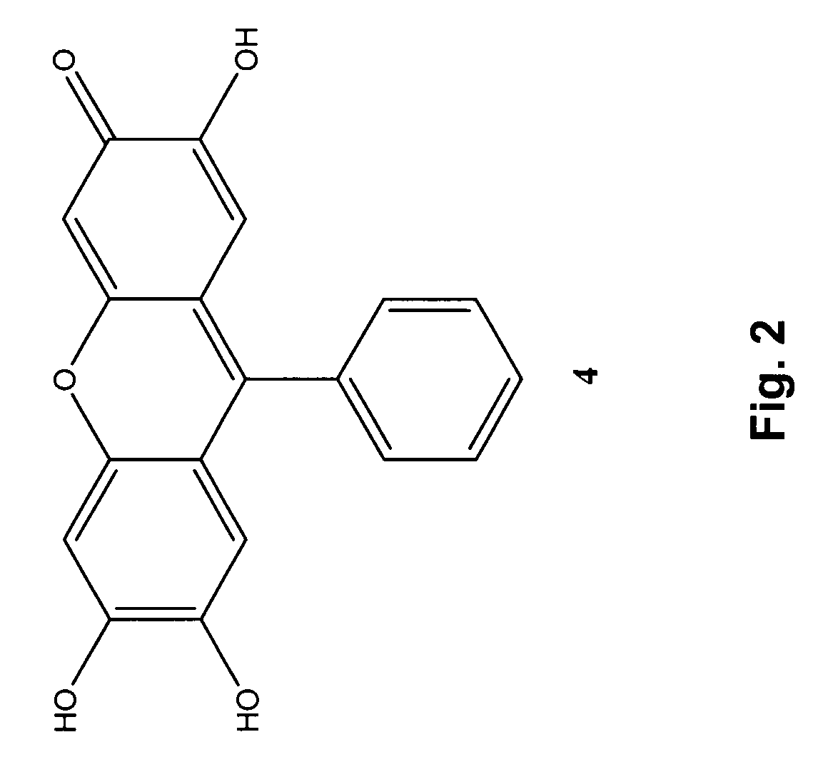 Colorimetric and fluorometric determination of homocysteine and cysteine