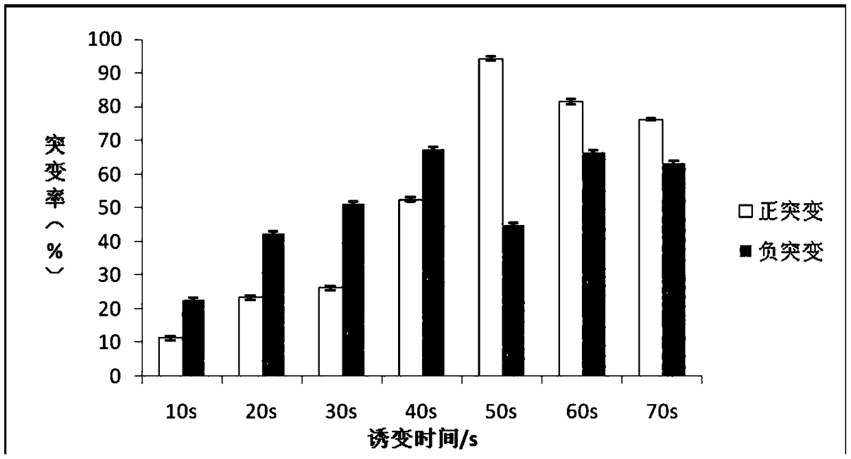 Lactobacillus casei stain mutant strain for producing glutamine transaminase and use thereof