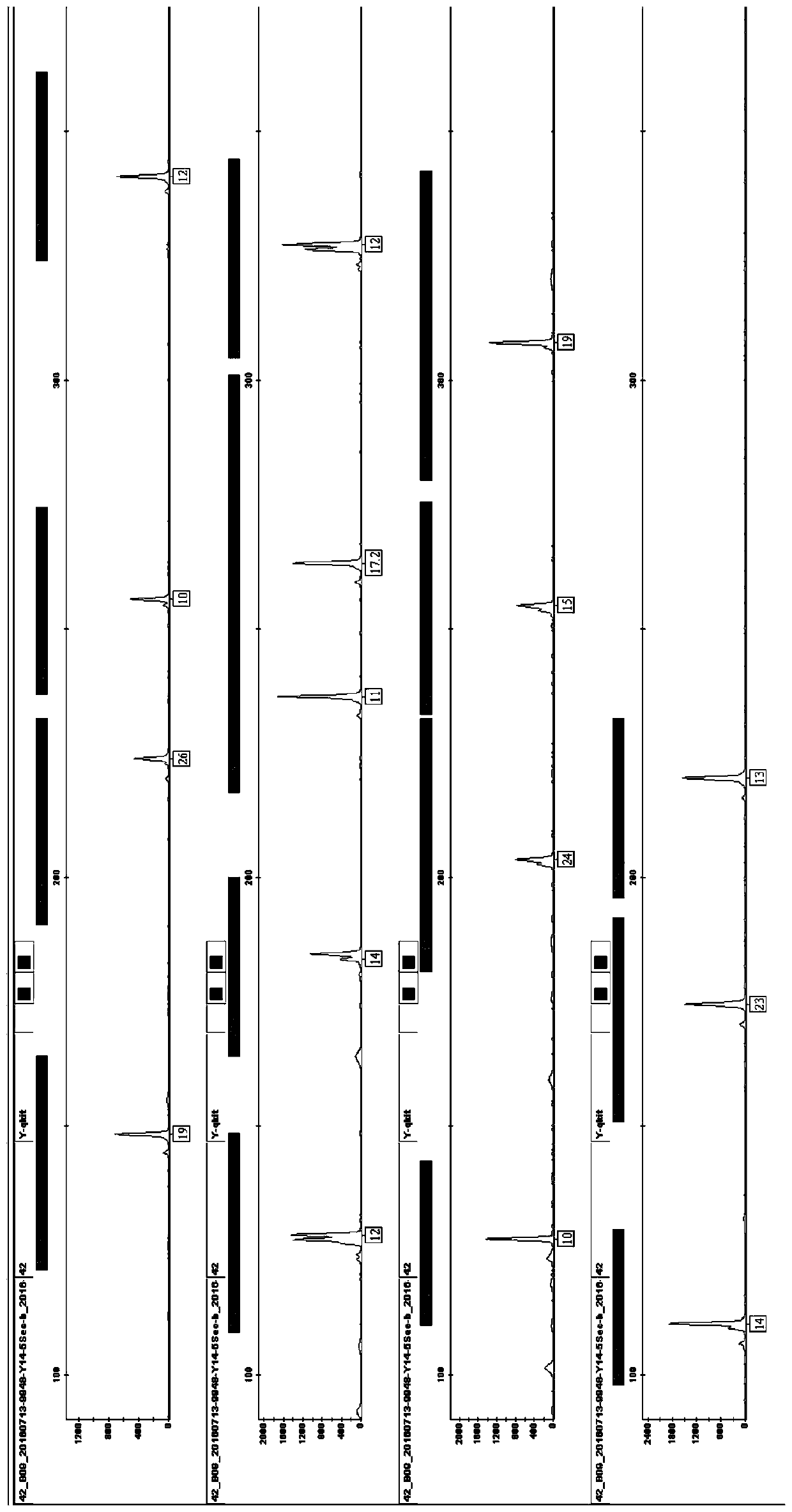 A method and system for rapid y-str typing of male individuals