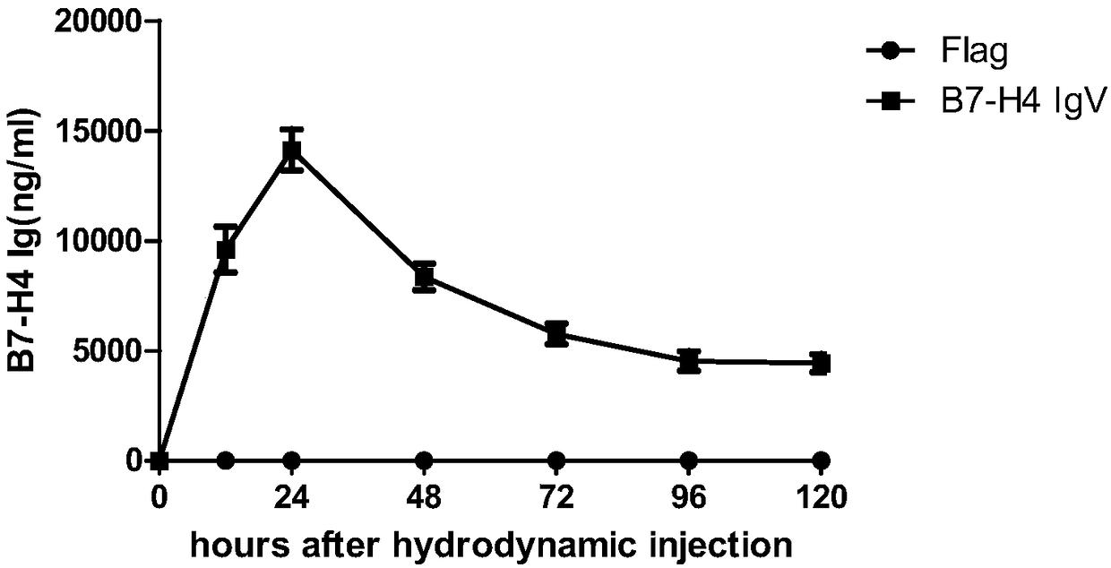 Application of B7-H4 fusion protein in preparation of medicine used for treating systemic lupus erythematosus