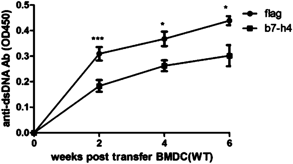 Application of B7-H4 fusion protein in preparation of medicine used for treating systemic lupus erythematosus