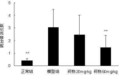 Compound for treating and/or preventing neurodegenerative related disease