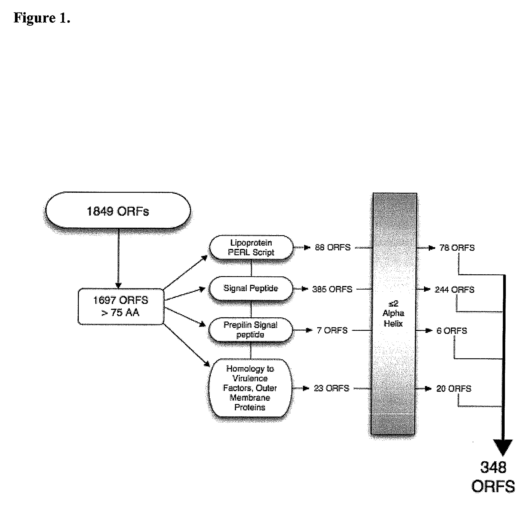 Method for stimulating immune response against  moraxella catarrhalis