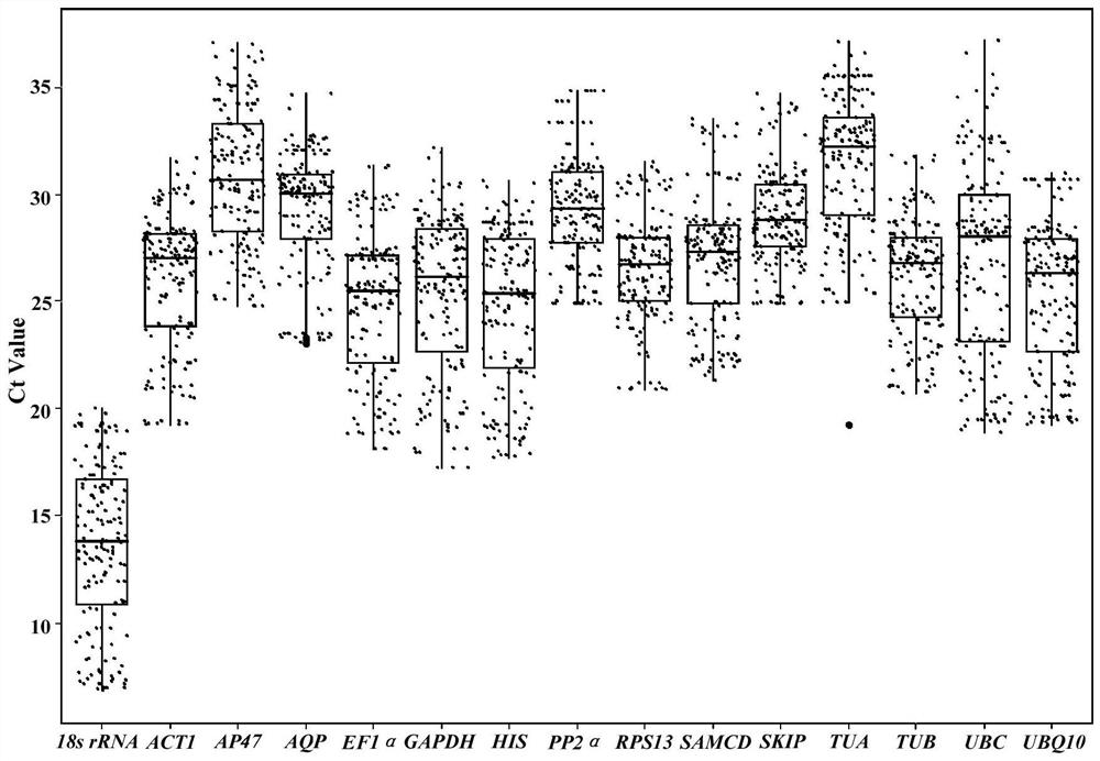 Real-time quantitative PCR reference gene of tilia miqueliana under different tissues and stress treatment conditions as well as screening method and application of real-time quantitative PCR reference gene