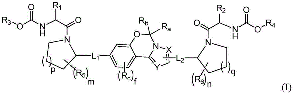 Fused tricyclic hepatitis virus inhibitor and application thereof