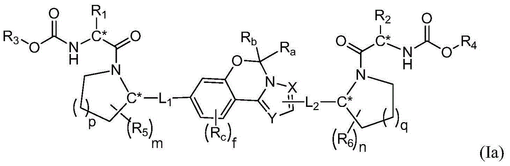 Fused tricyclic hepatitis virus inhibitor and application thereof