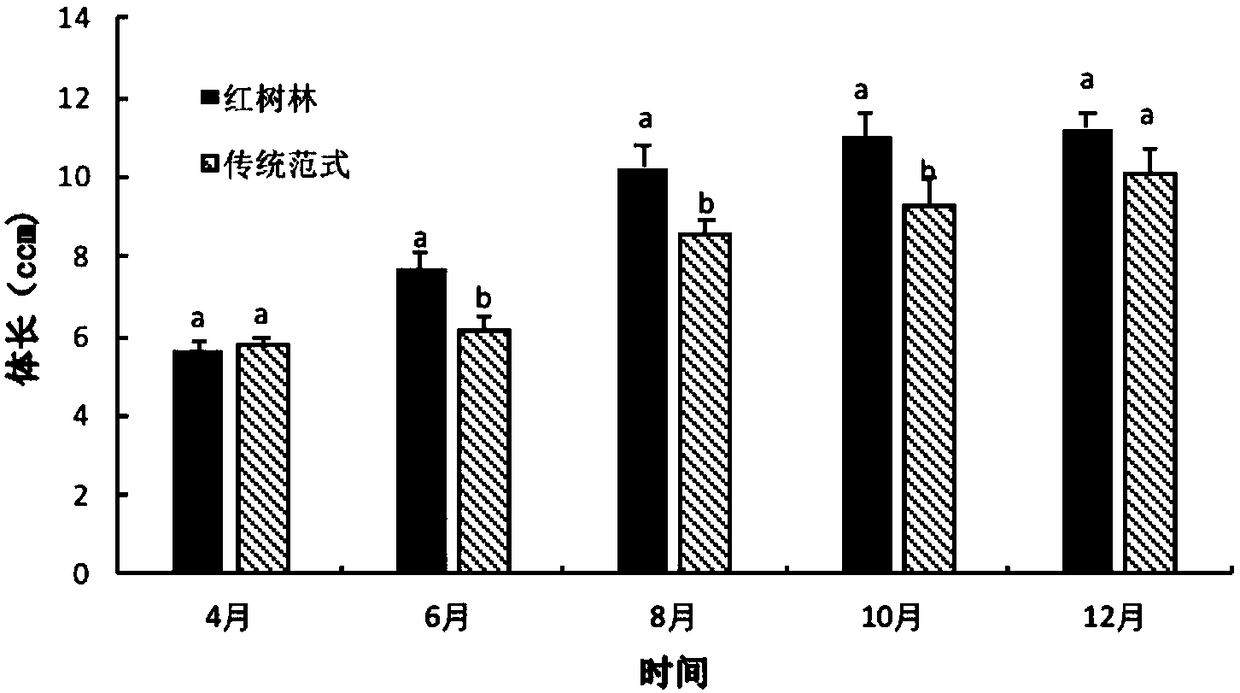 Environment-friendly low-carbon breeding method in mangrove forest area