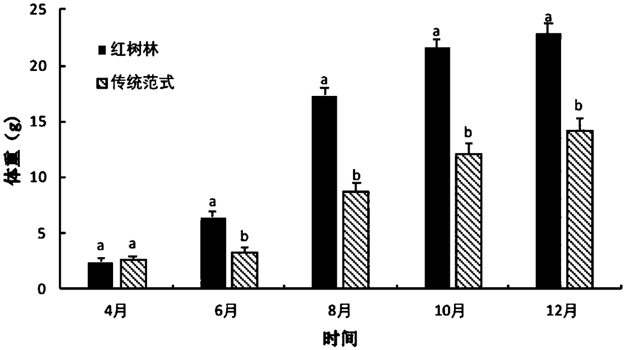 Environment-friendly low-carbon breeding method in mangrove forest area