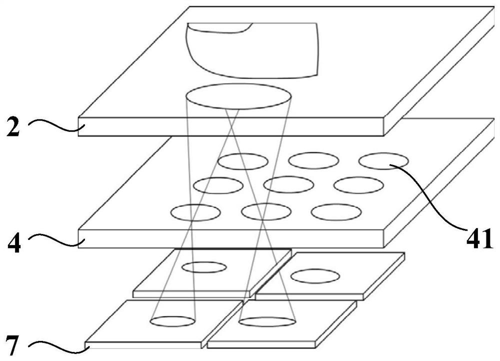 Flexible display panel for fingerprint identification, display device and fingerprint identification method