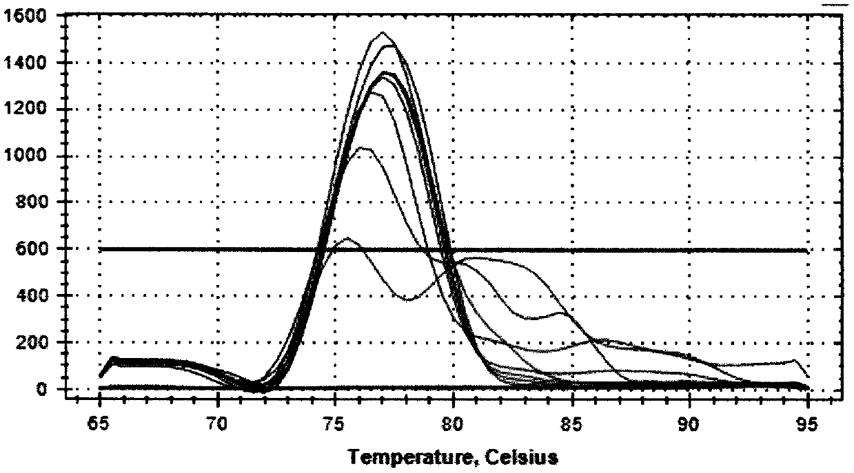 Real-time fluorescent quantitative PCR method for detecting canine mycoplasmas