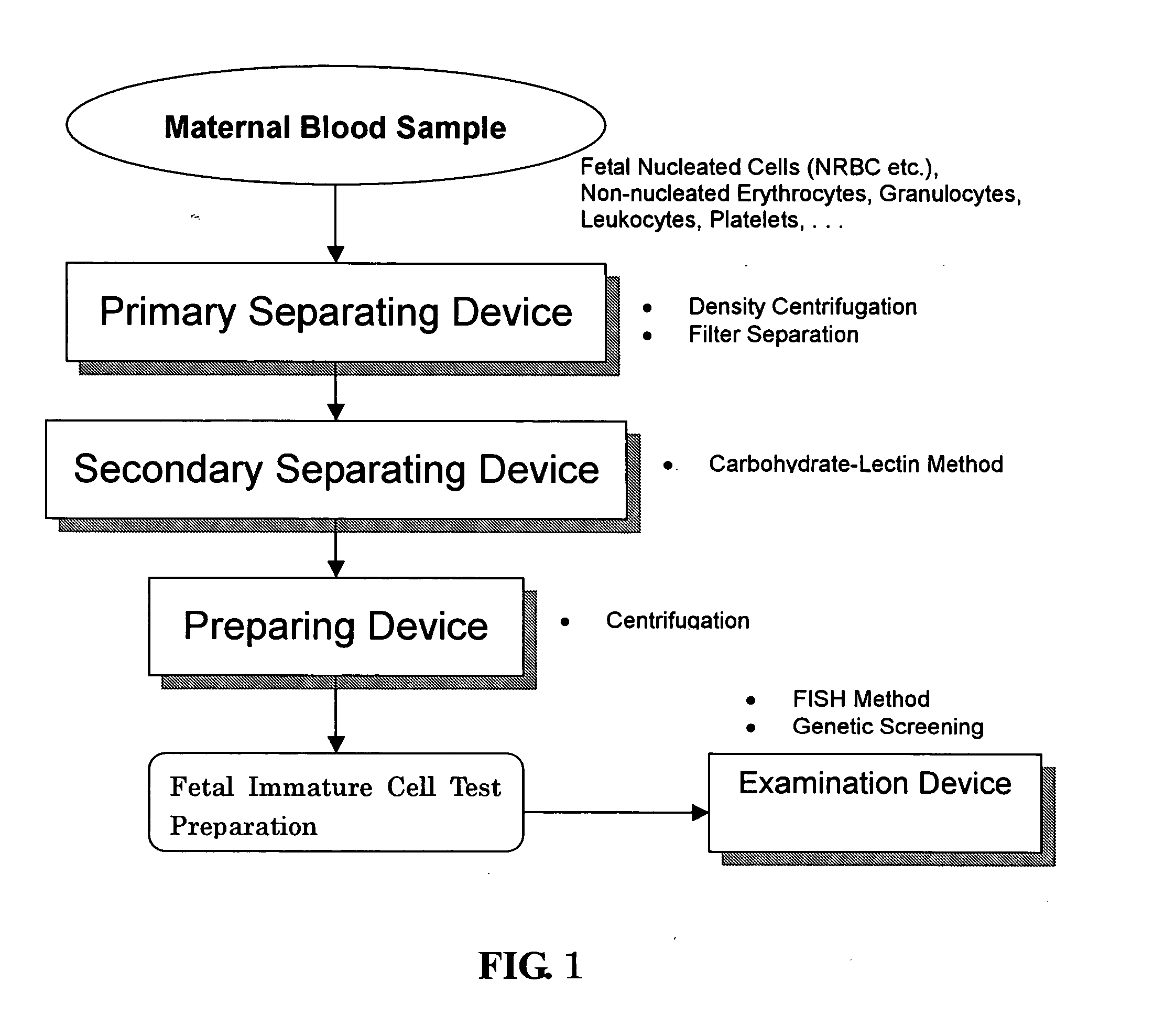 Blood cell separating system