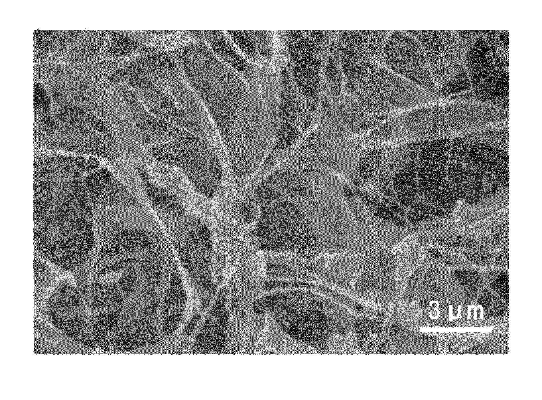 Porous cellulose body and method for producing same