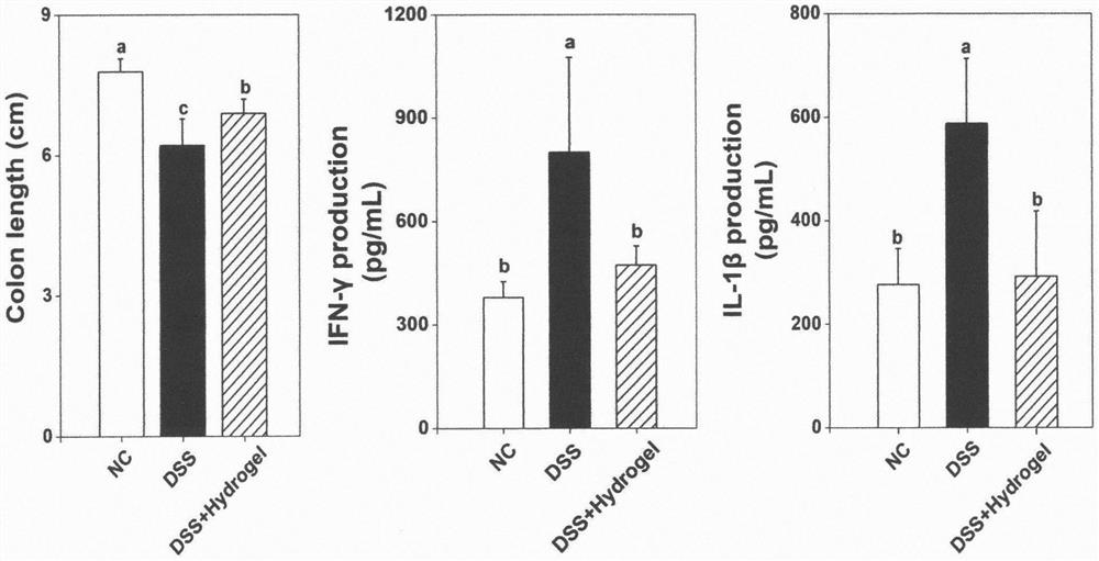 Preparation method of polyphenol-amyloid fiber hydrogel for relieving acute intestinal inflammation of mice