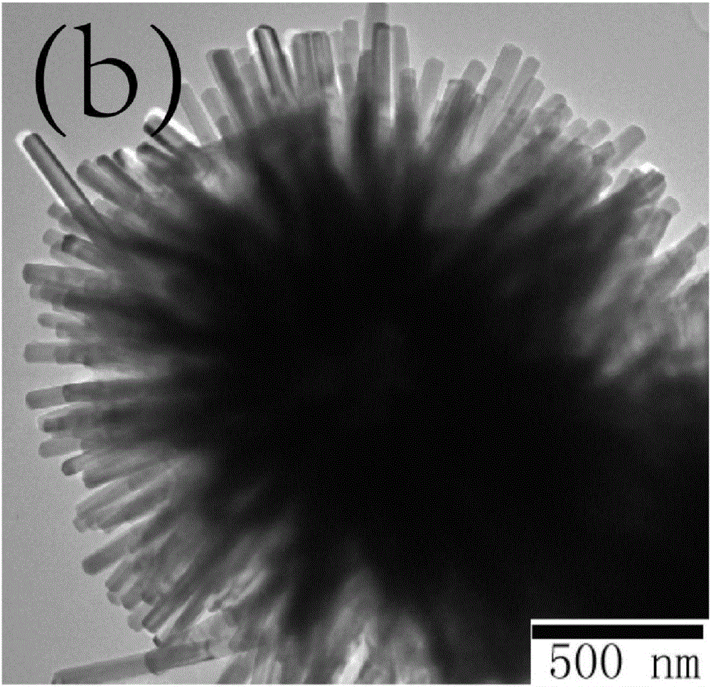 Hollow sea urchin type magneto-optic nano-composite medicine carrying system and preparing method thereof