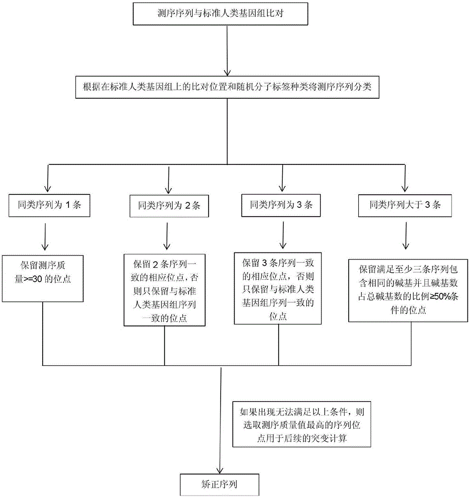 Biological information processing method for analyzing circulating tumor DNA (deoxyribonucleic acid)